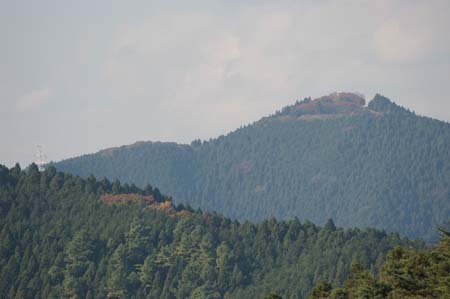 IMGP2385