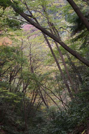 IMGP2395
