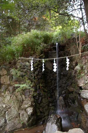 IMGP2430