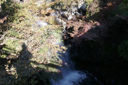 IMGP2433