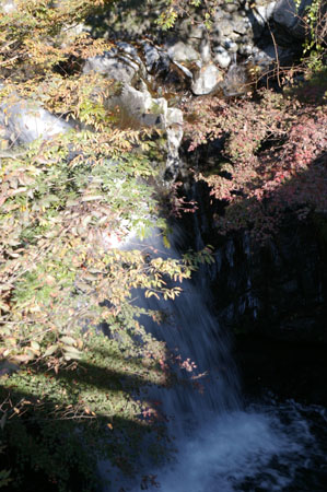 IMGP2434