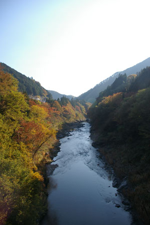 IMGP2437