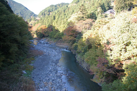 IMGP2438