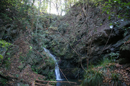 IMGP2441