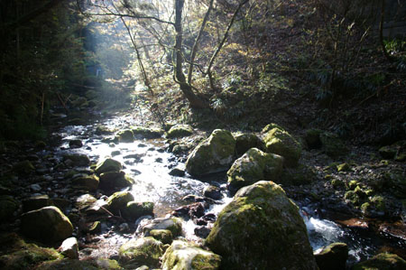 IMGP2442