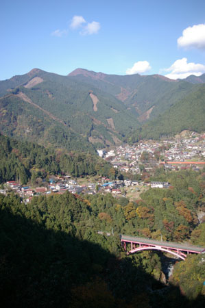IMGP2445