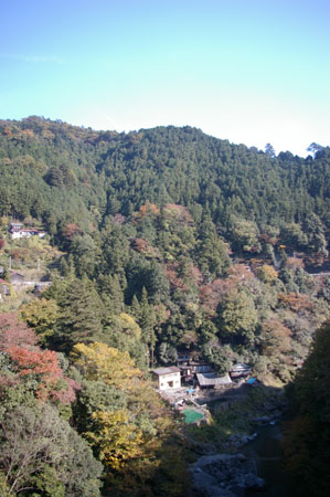 IMGP2447