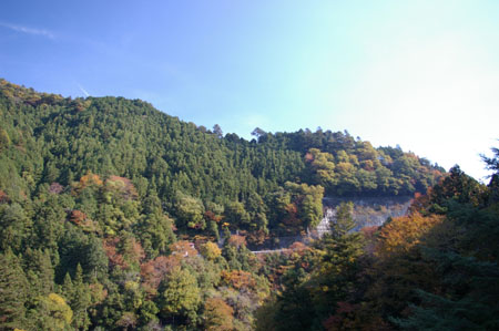 IMGP2448