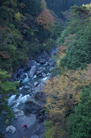 IMGP2450