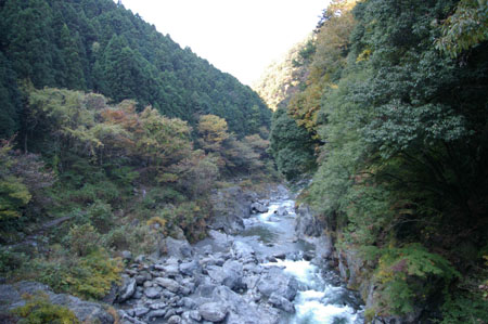 IMGP2454