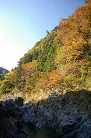 IMGP2468