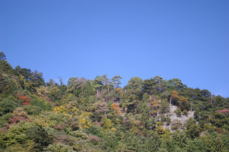 IMGP2470