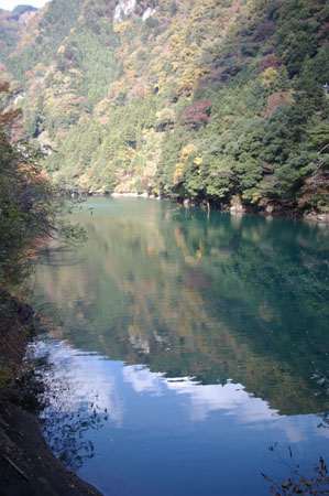 IMGP2474