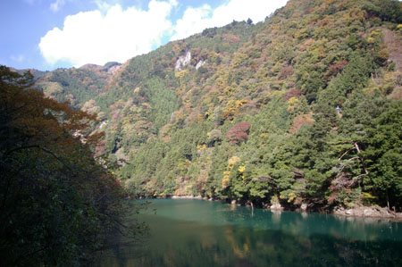 IMGP2475
