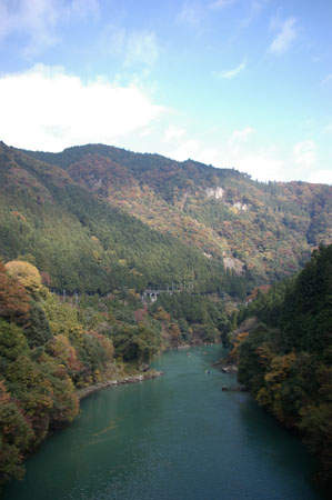IMGP2484
