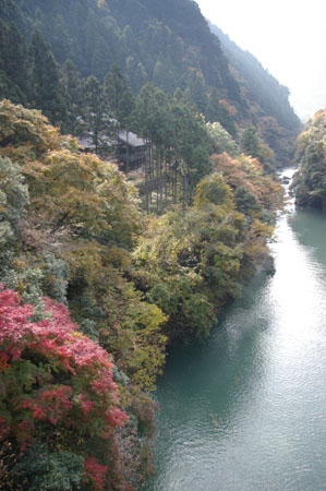 IMGP2487