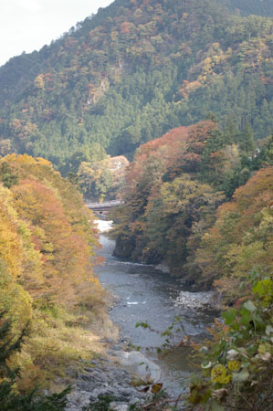 IMGP2501