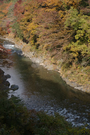 IMGP2504