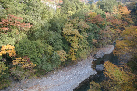 IMGP2507