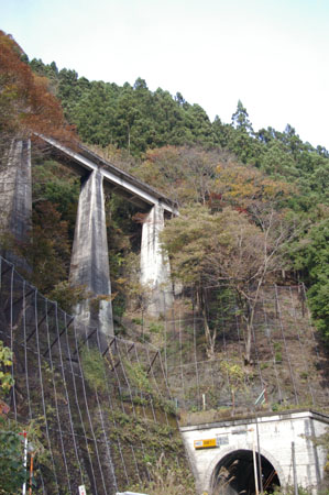 IMGP2522