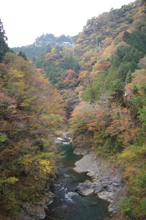 IMGP2544