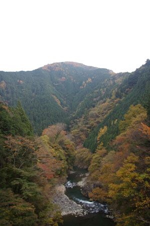 IMGP2545