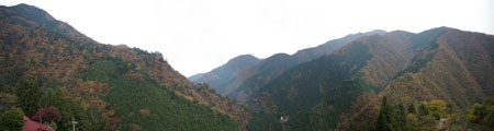 Panorama