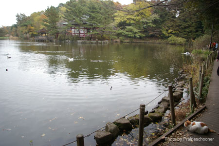 IMGP2616