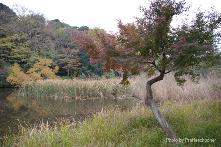 IMGP2646