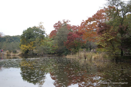 IMGP2647