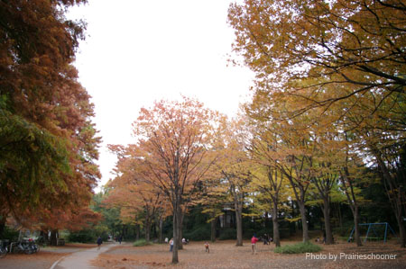 IMGP2648