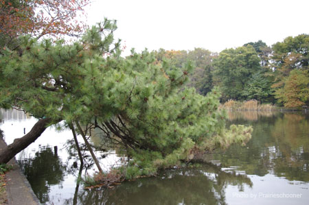 IMGP2655